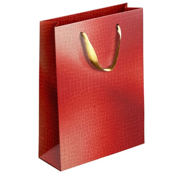 Embossed Metallic Paper Gift Bag Medium Assorted Colours P1900 (Large Letter Rate)