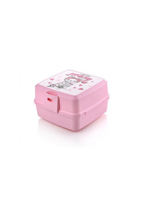 Hobby Premium Plastic Lunch Box with Print Assorted Designs and Colours 021175 (Parcel Rate)