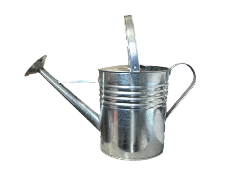 Metal Garden Plant Watering Can 27 cm 2255 (Parcel Rate)